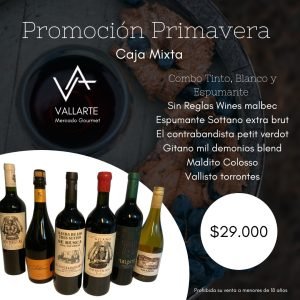 PROMOCION PRIMAVERA.