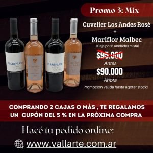 Promoción Diciembre