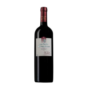 San Pedro de Yacochuya Malbec