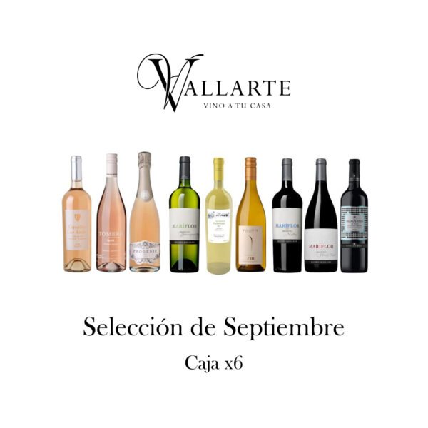 Selección de Septiembre Armá tu Caja x6