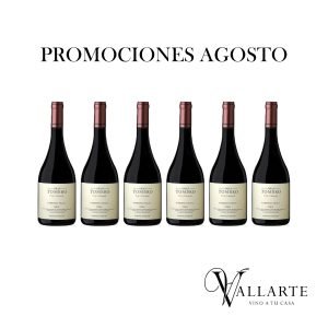 Gran Tomero Cabernet Franc x 6