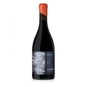 Autóctono Malbec Gualtallary Vistalba