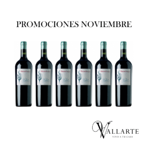 Yacochuya Malbec x6