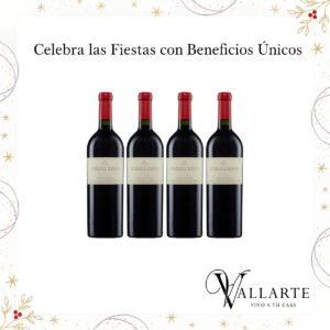 Angelica Zapata Malbec x4