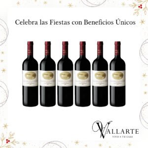 San Pedro Yacochuya Blend x6