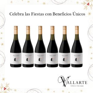 Sottano Reserva Sauvignon Blanc x6